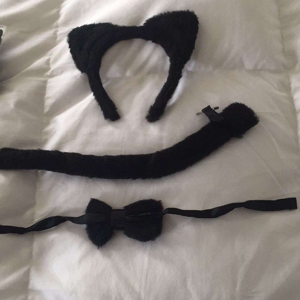 Cat Accessory Kit - Picture 4 of 4